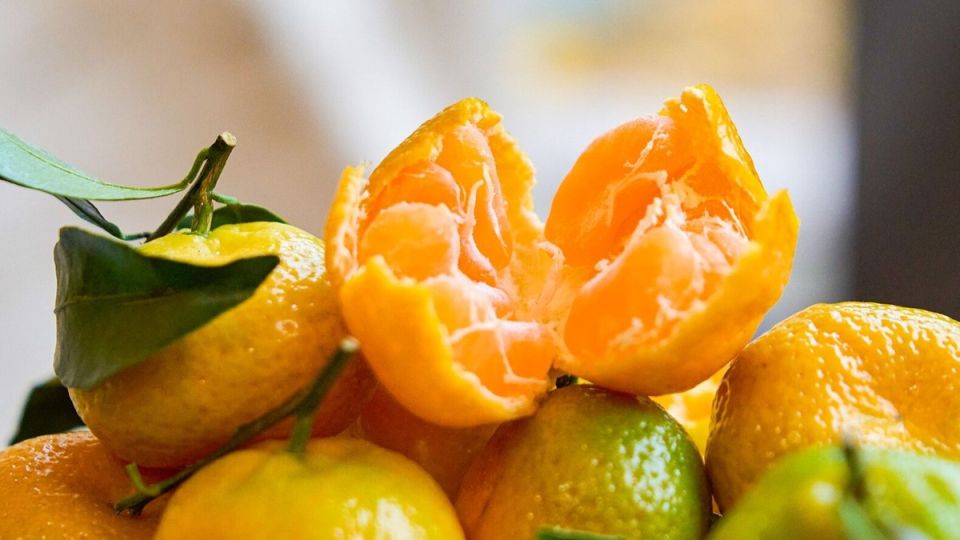 Подвешенный мандарин: как сделать праздники ярче для тех, кто в них нуждается