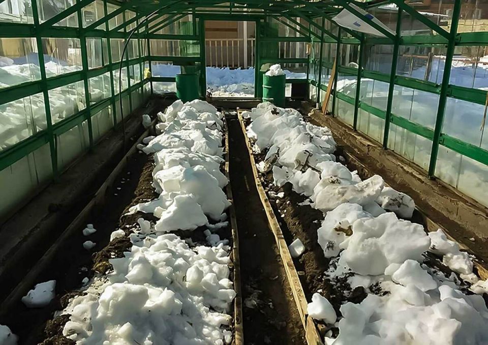 ����� ������ �������: ��� ���� �������� ����� �������� ����