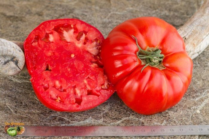 Томат Герцеговина: крупноплодный сорт с насыщенным вкусом для теплиц и грядок