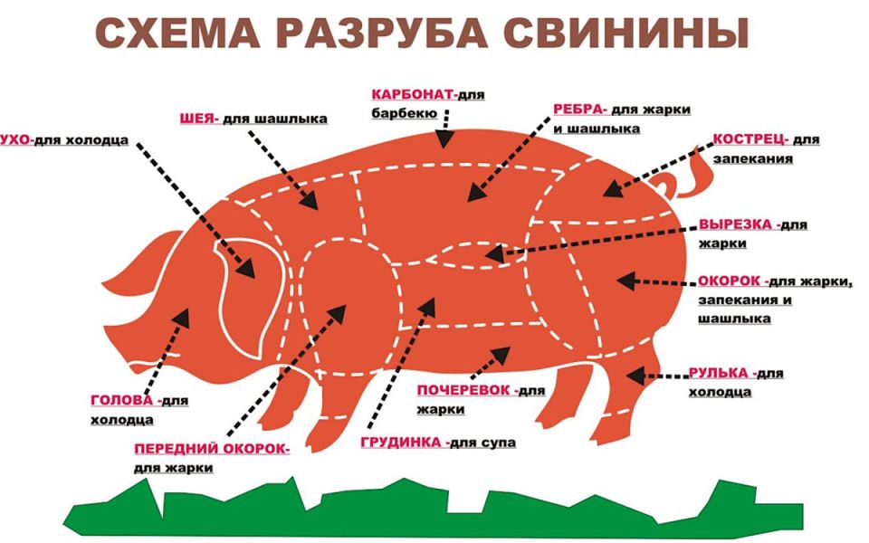 ����� ���� �� ������ ������ ������ ���� ��� �������� �����