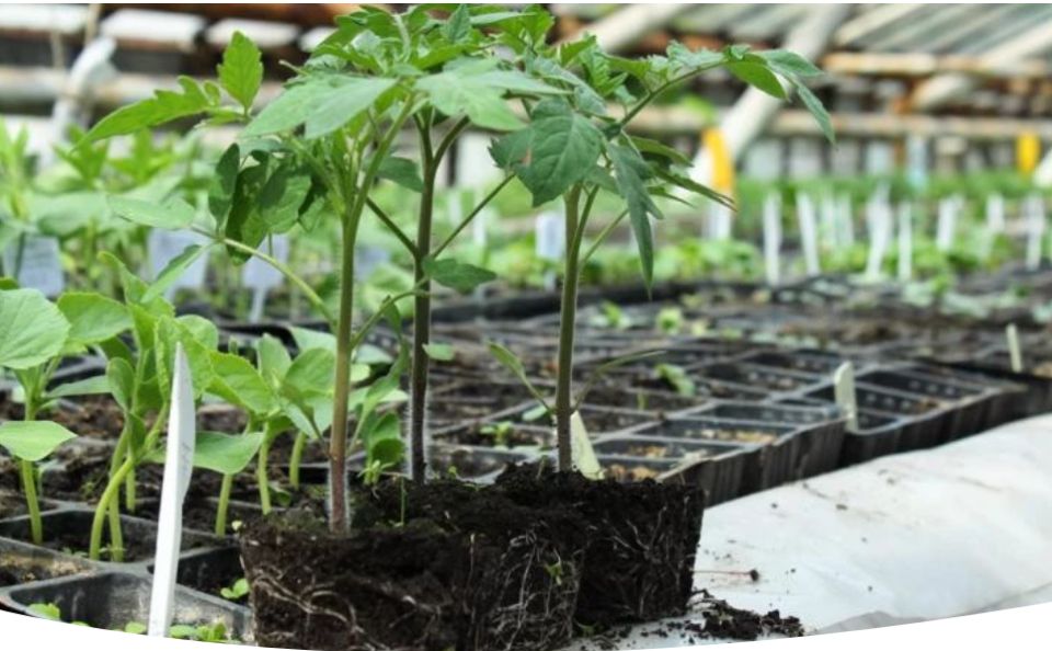 ��� ��������� ������� ������� ��� ��������� � ��������� ������ ������