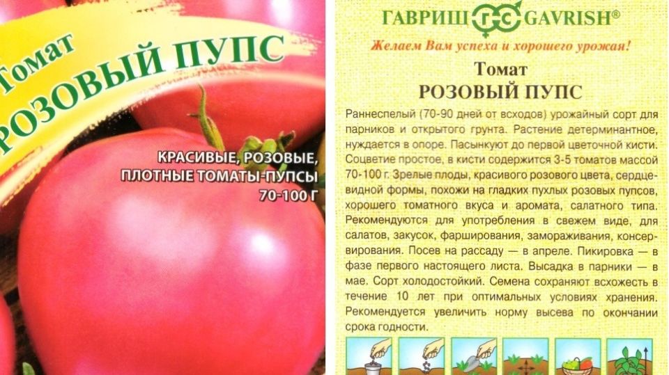 Как выбрать урожайные томаты: взгляд на реальную продуктивность по опыту дачи
