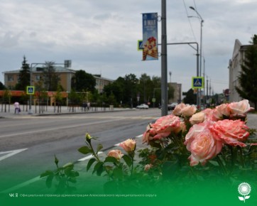 11 .   23C, ,  