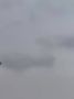  : 12    /     : 11      1   