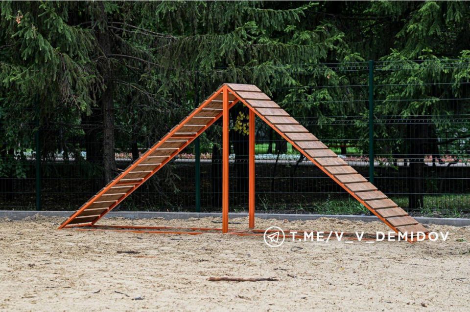 В Белгороде появились ещё две площадки для выгула собак