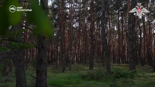 Каждый должен это знать!. Посмотрите сами и поделитесь информацией с родными, близкими, коллегами и знакомыми! #неттерроризму