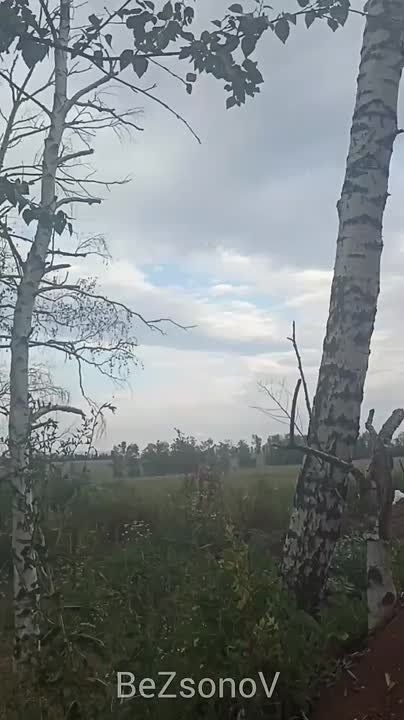  :       &quot;&quot;,      