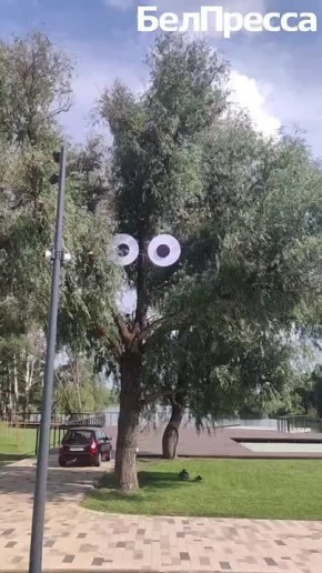       :            