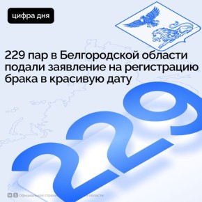 229            