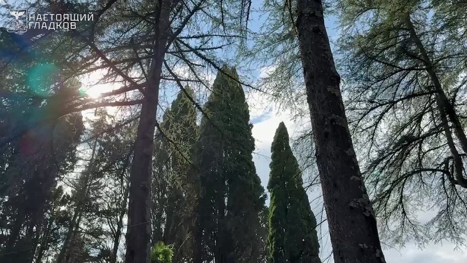  :        