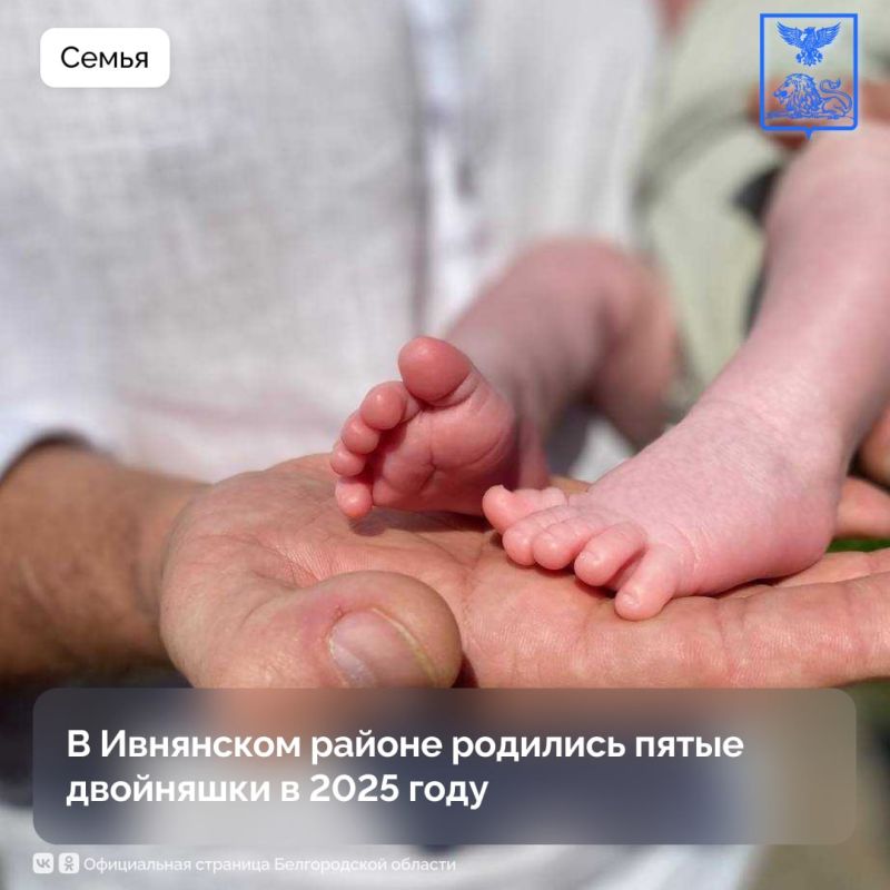        2025 