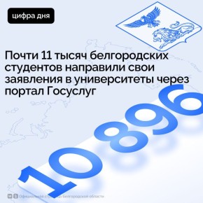  11          