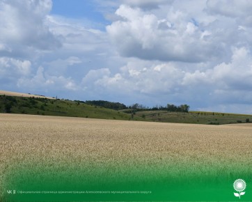 28 .   29C, ,  