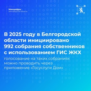  2025      992      