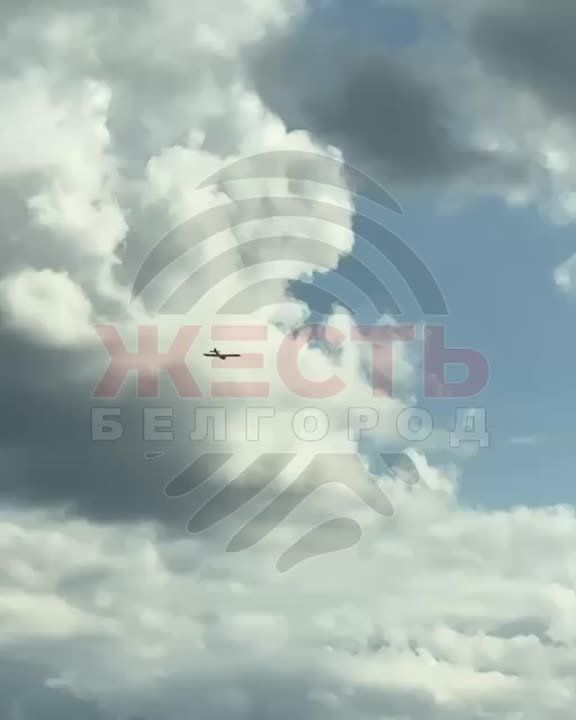  :  ,      ,      