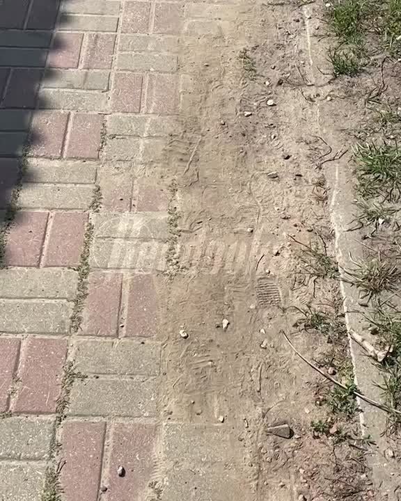           /    ,  