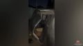 #_.   ,   03  50   .  .    18-         ,   ...