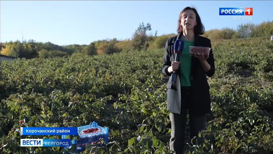 1234              1,5  