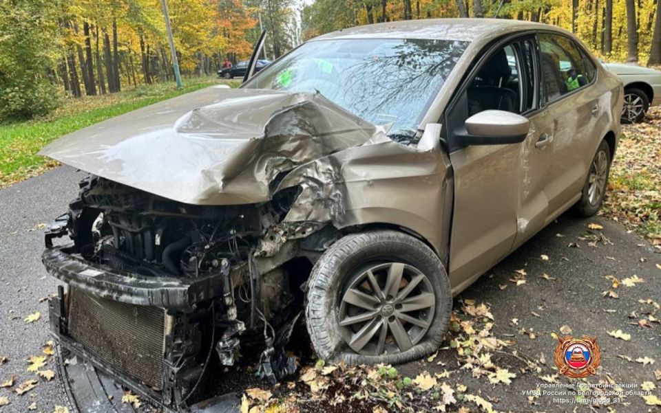 #_.   ,   12  20      .  - .  .  44- ,    ,   ...