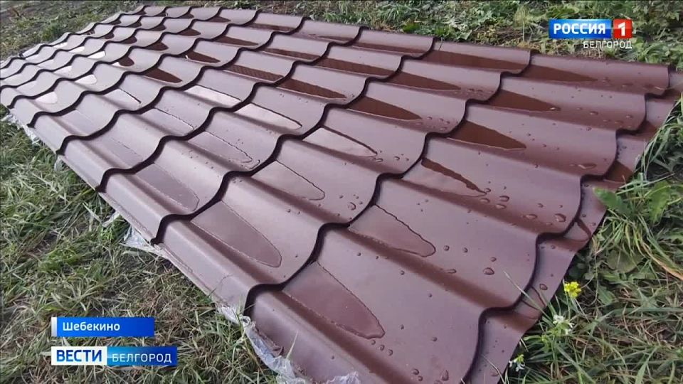 Пёс Мишка чутко реагирует на приближение вражеских FPV-дронов