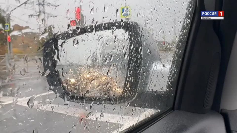 Дождливо, но пока тепло. На следующей неделе ожидается погружение в глубокую осень