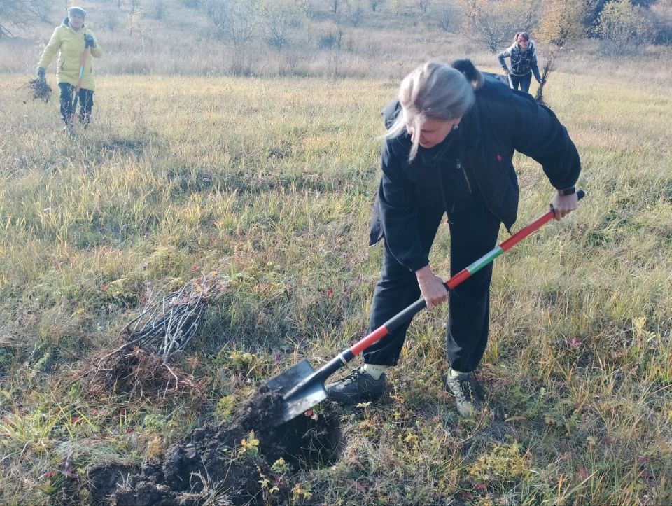 Галина Руденко: В Красногвардейском районе дан старт Всероссийской акции "Сохраним лес", направленной на восстановление лесных массивов