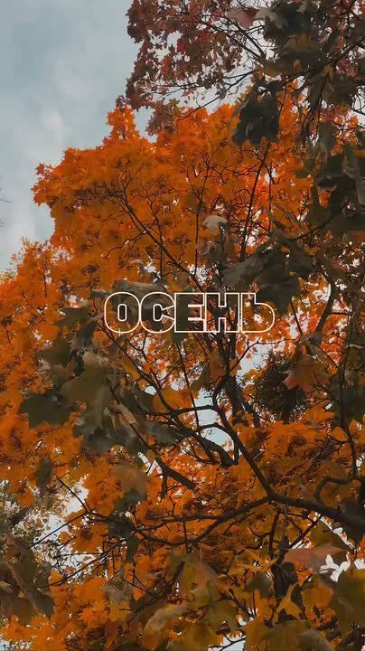 Погода сегодня обещает быть дождливой, а максимальная температура 10°