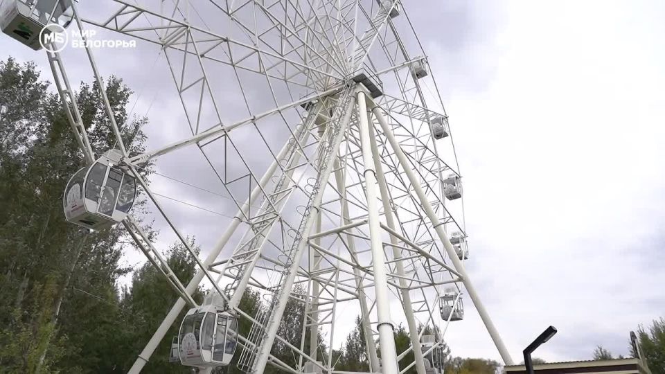 «Колесо времени» Андрей Маслов