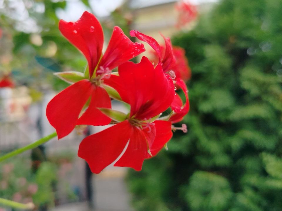 Сегодня, 10 октября, будет облачная с прояснениями погода