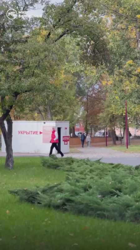 Уютная атмосфера осени в парке Ленина