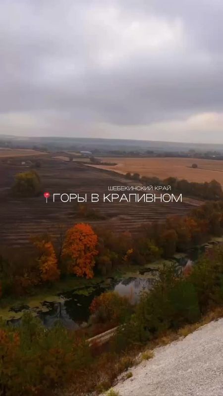 Туманное утро в Шебекинском округе