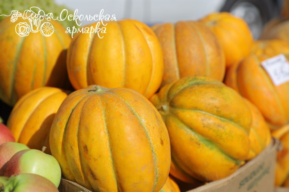 Традиционная фермерская ярмарка в Старом Осколе