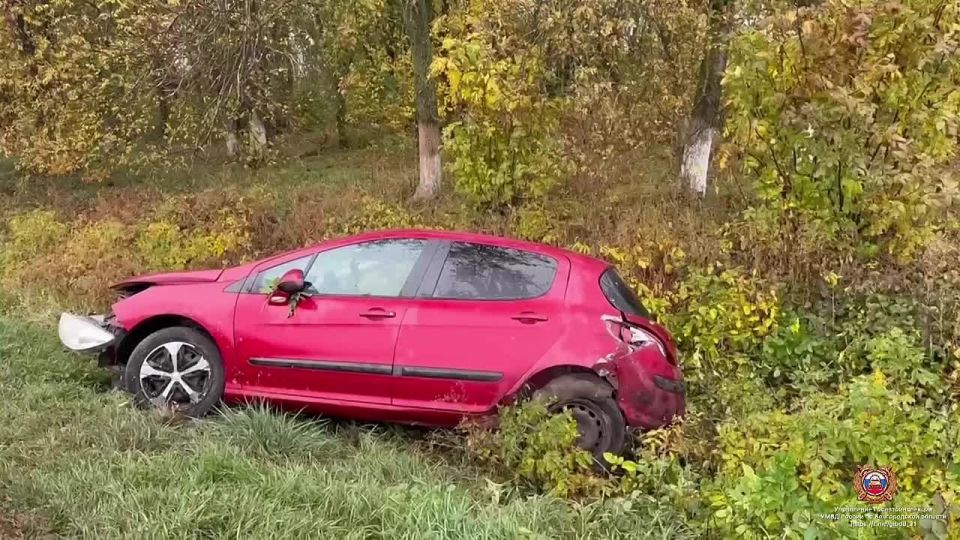 #СВОДКА_ДТП. По предварительным данным, вчера около 08 часов 30 минут на 38 км автодороги «Крым-Ивня-Ракитное» Ракитянского района 42-летняя женщина, управляя автомобилем «Пежо 308», не выбрала безопасную скорость движения...