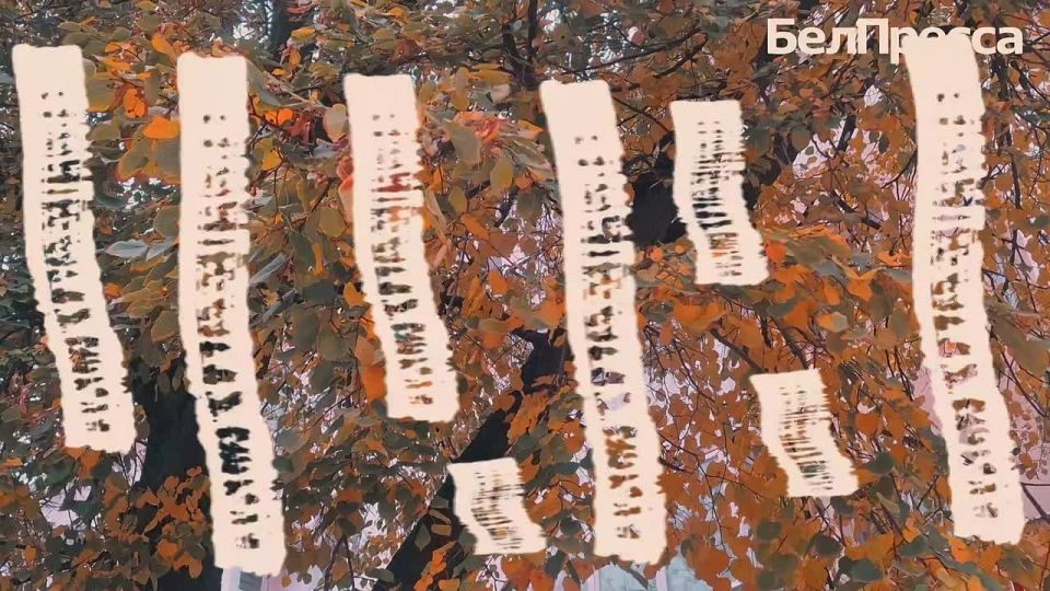 Что для белгородцев значит счастье?