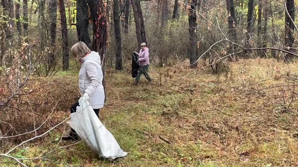 Андрей Миськов: Новооскольский округ присоединился к областному субботнику