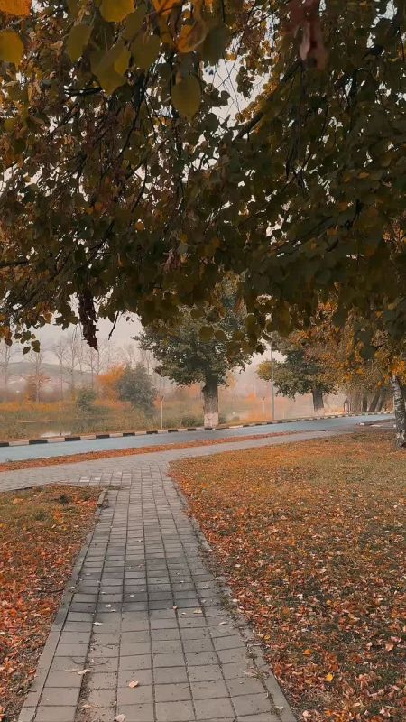 Погода 12 октября. Сегодня в Белгороде облачная погода