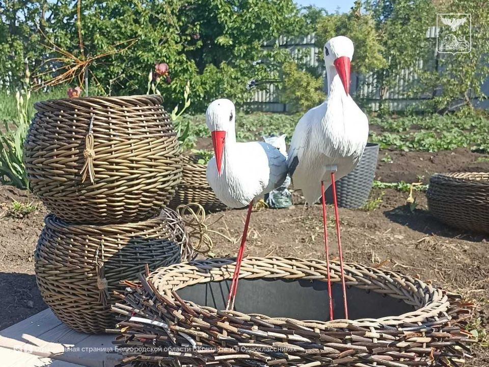 Благодаря соцконтракту жительница Красногвардейского района создаёт уникальные кашпо ручной работы