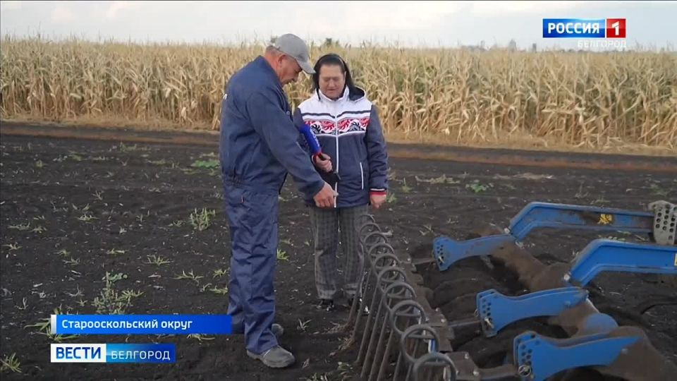 Сегодня в России – День работника сельского хозяйства