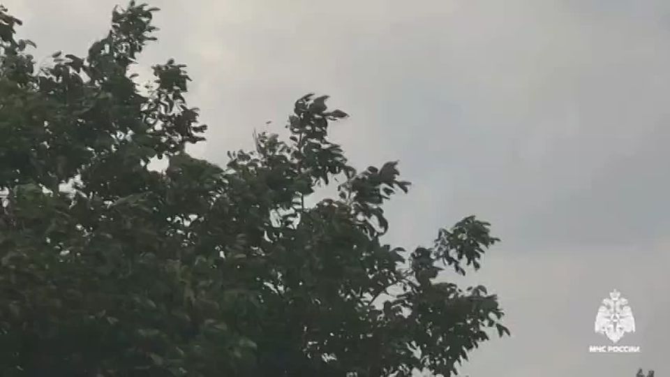 12 октября на территории Белгородской области ожидаются порывы ветра до 18 м/с