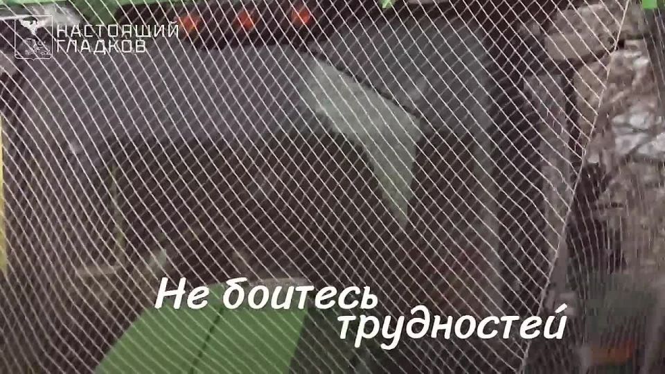 Вячеслав Гладков поздравил белгородских аграриев с профессиональным праздником