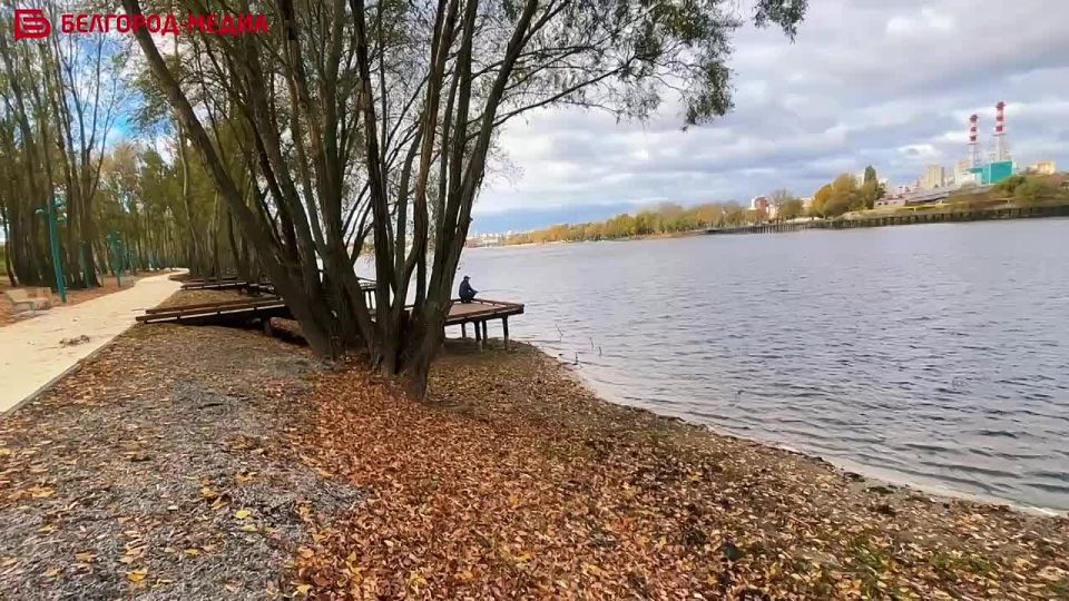 В белгородском парке «Берега» уже построили 7 мостиков для рыбалки