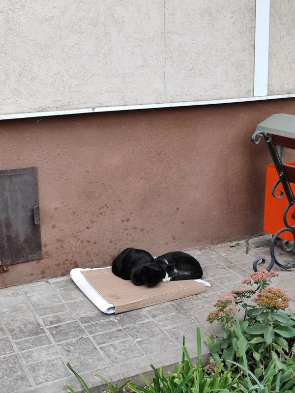 Сегодня, 13 октября, в Белгороде будет пасмурно