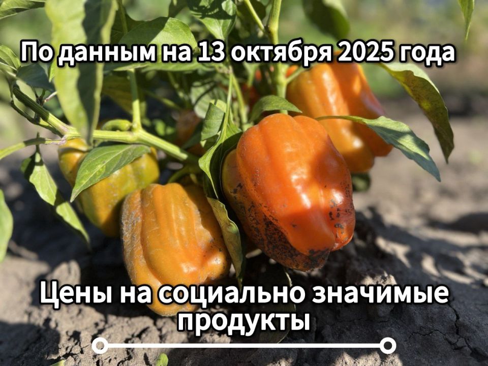 Владимир Переверзев: Где дешевле всего купить необходимые продукты в посёлке Борисовка
