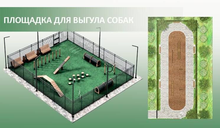В Старом Осколе появятся современные площадки для выгула и тренировки собак