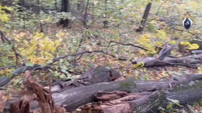 Белгородский бизнесмен осуждён за гибель подростка