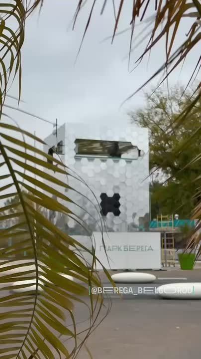 Пальмы из парка «Берега» отправились на зимовку