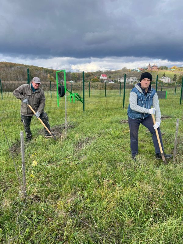 Владимир Переверзев: Борисовцы высадили 200 деревьев в рамках нацпроекта «Экологическое благополучие»