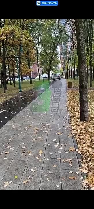 Белгородские автоинспекторы отреагировали на публикацию в социальной сети