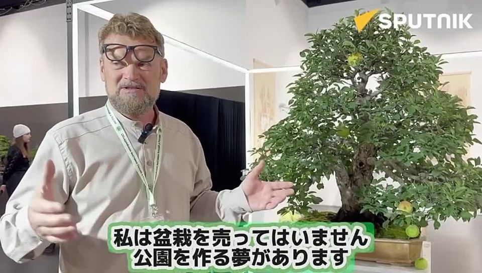 «Старооскольский бонсай» показали по японскому ТВ