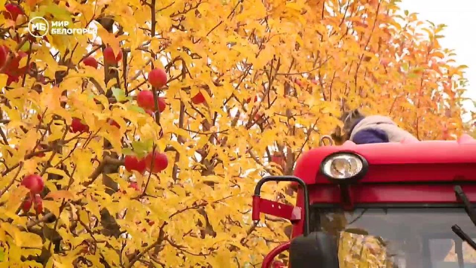 История успеха нашего земляка Александра Власова из села Погореловка!